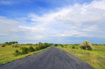 Fototapeta na wymiar road in steppe