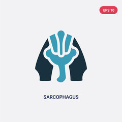 two color sarcophagus vector icon from museum concept. isolated blue sarcophagus vector sign symbol can be use for web, mobile and logo. eps 10