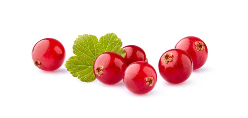 Fresh Red currant berries with leaf on White Background closeup
