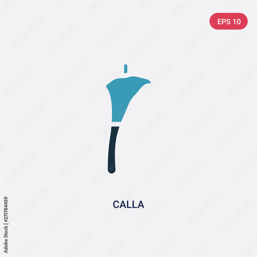 Poster two color calla vector icon from nature concept. isolated blue calla vector sign symbol can be use f