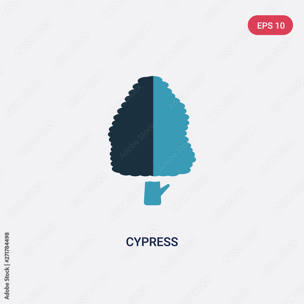 Poster two color cypress vector icon from nature concept. isolated blue cypress vector sign symbol can be u