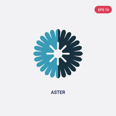 Fototapeta premium two color aster vector icon from nature concept. isolated blue aster vector sign symbol can be use for web, mobile and logo. eps 10