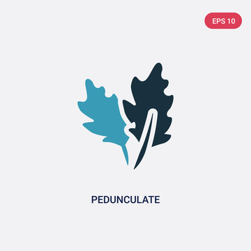 two color pedunculate vector icon from nature concept. isolated blue pedunculate vector sign symbol can be use for web, mobile and logo. eps 10