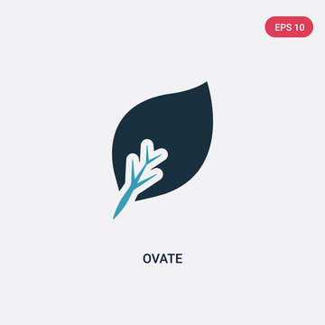 two color ovate vector icon from nature concept. isolated blue ovate vector sign symbol can be use for web, mobile and logo. eps 10
