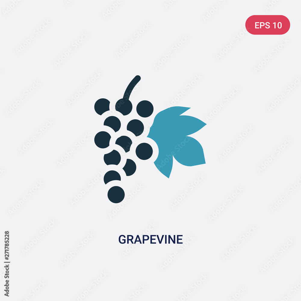 Poster two color grapevine vector icon from nature concept. isolated blue grapevine vector sign symbol can 
