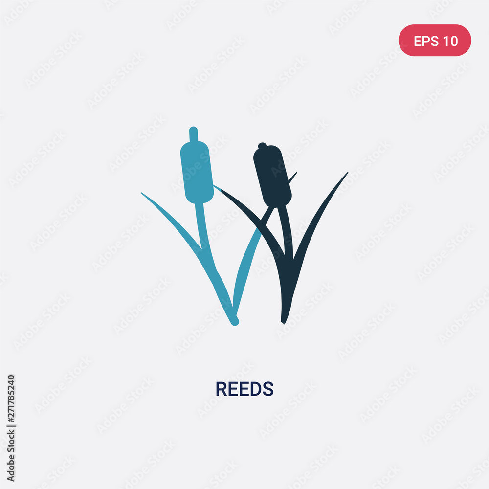 Poster two color reeds vector icon from nature concept. isolated blue reeds vector sign symbol can be use f