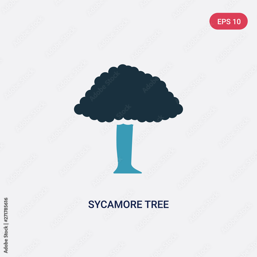 Poster two color sycamore tree vector icon from nature concept. isolated blue sycamore tree vector sign sym
