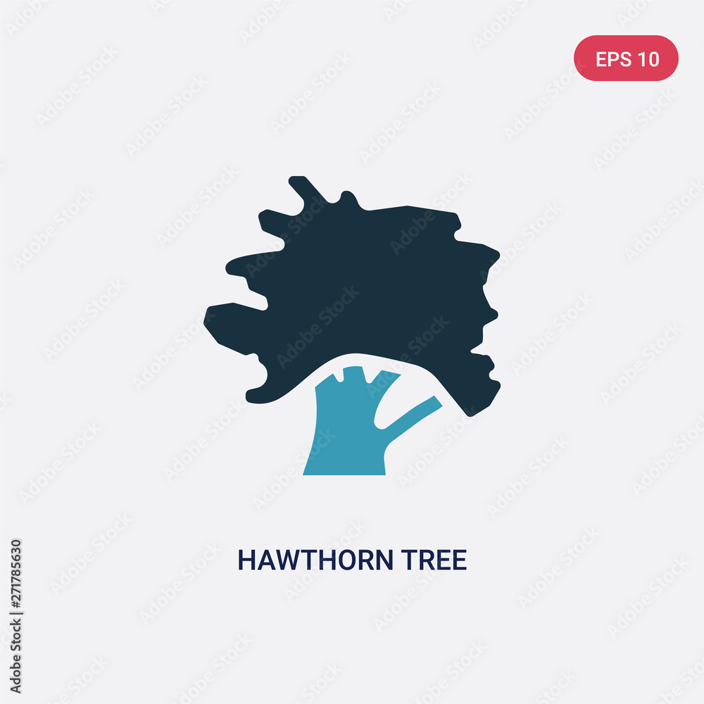 Poster two color hawthorn tree vector icon from nature concept. isolated blue hawthorn tree vector sign sym