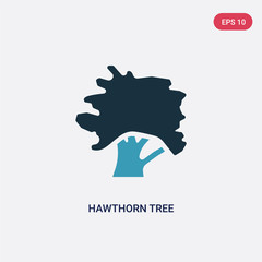 Fototapeta na wymiar two color hawthorn tree vector icon from nature concept. isolated blue hawthorn tree vector sign symbol can be use for web, mobile and logo. eps 10