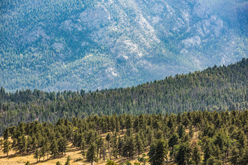 Overlook of Rocky Mountains with plains and pine forest in Colorado tundra