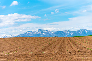 Panoramic rural landscape with mountains. Vast blue sky and white clouds over farmland field in a beautiful sunny day in springtime.