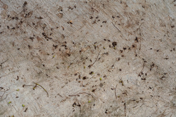 texture of stone wall