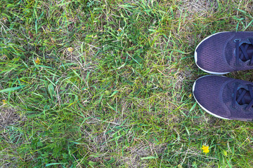 sneakers purple on the grass, top view