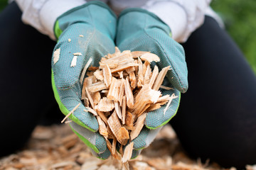 Gärtner arbeitet im Garten mit Mulch