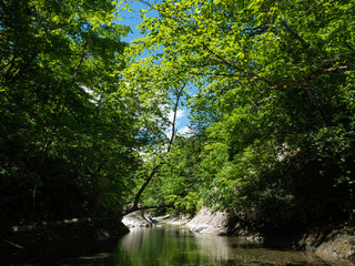 渓流 川 釣り 沢登り