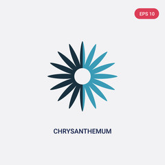 Obraz premium two color chrysanthemum vector icon from thanksgiving concept. isolated blue chrysanthemum vector sign symbol can be use for web, mobile and logo. eps 10
