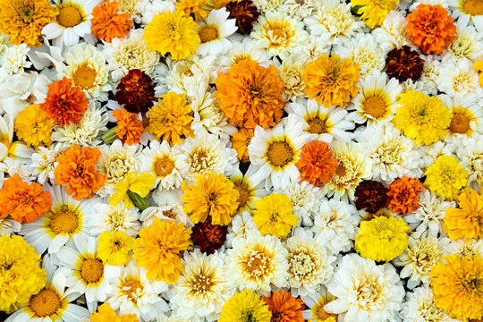 Flores variadas para ofrenda en la India.