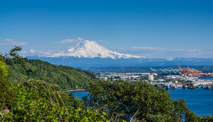 Obraz premium White Mount Rainier