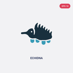 two color echidna vector icon from animals concept. isolated blue echidna vector sign symbol can be use for web, mobile and logo. eps 10