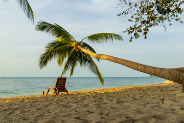 the beach chair and leaning  coconut on the beach at Koh samui Thailand