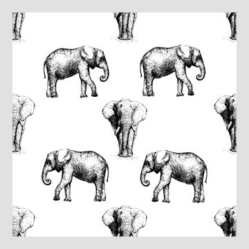 Seamless pattern of hand drawn sketch style elephant isolated on white background. Vector illustration.