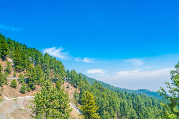 Beautiful tree and snow covered mountains landscape Kashmir state, India