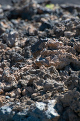  Mountains on the Canary Islands. Teide Volcano