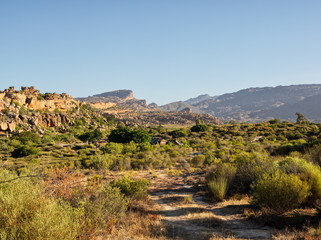 Light and shadows with plants and rocks in the plains in South A