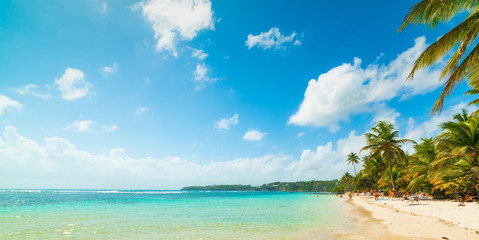 Fototapeta na wymiar Blue sky over La Caravelle beach in Guadeloupe