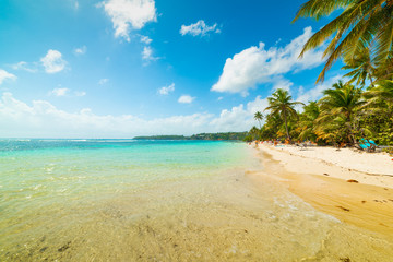 Fototapeta na wymiar La Caravelle beach in Guadeloupe