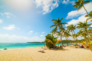 La Caravelle beach on a sunny day in Guadeloupe