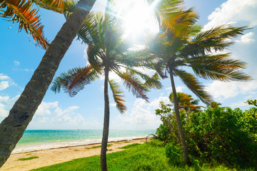 Pointe de la Saline beach in Guadeloupe