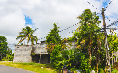 Tropical vegetation by a ruin in Guadeloupe