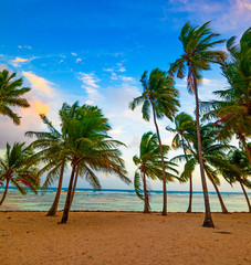Sunset in Bois Jolan beach in Guadeloupe