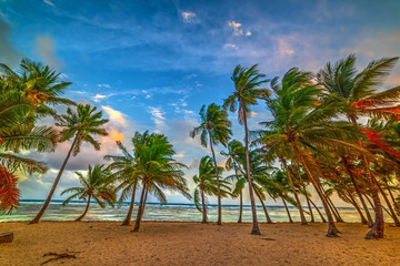 Colorful sunset in Bois Jolan beach in Guadeloupe