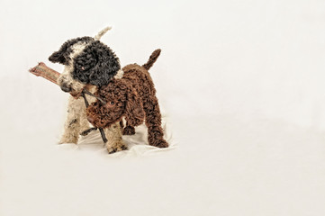 Doggys playing, enjoying and having fun.