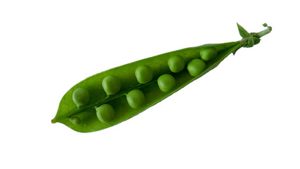 Open green pea pod with peas inside isolated on white