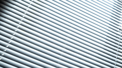 White blinds on the window. Sunlight from the window through the blinds