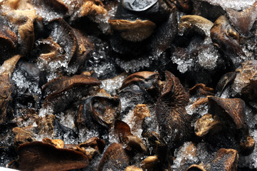 Chiocciole surgelate ft7109_8380 Frozen snails