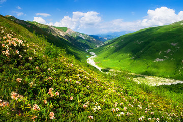 Svaneti, Georgia. Green mountains. Summer mountain landscape on clear day. Bright hills with green grass and blue sky. Mountain valley with river