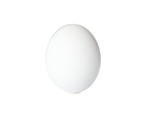 White chicken egg isolated on white background