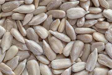 close up of refined sunflower grains background