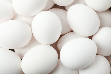 Many white chicken eggs as background, closeup