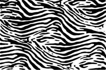 Zebra texture vector