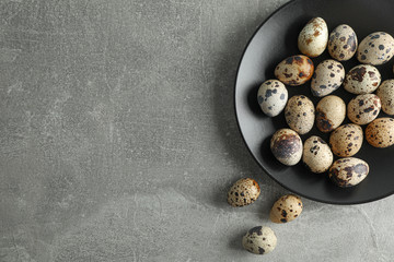 Quail eggs in plate on grey background, space for text and top view