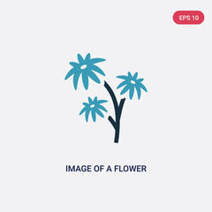 two color image of a flower vector icon from user interface concept. isolated blue image of a flower vector sign symbol can be use for web, mobile and logo. eps 10