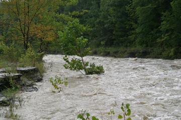 Flooded Creek