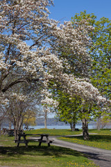 Long Point Park in Bloom