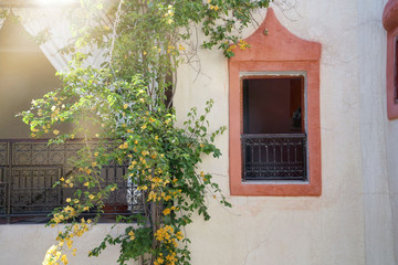 Stunning traditional Moroccan riad