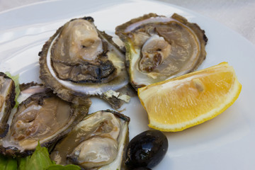 oysters on the plate, lemon and olive. Sea food salad